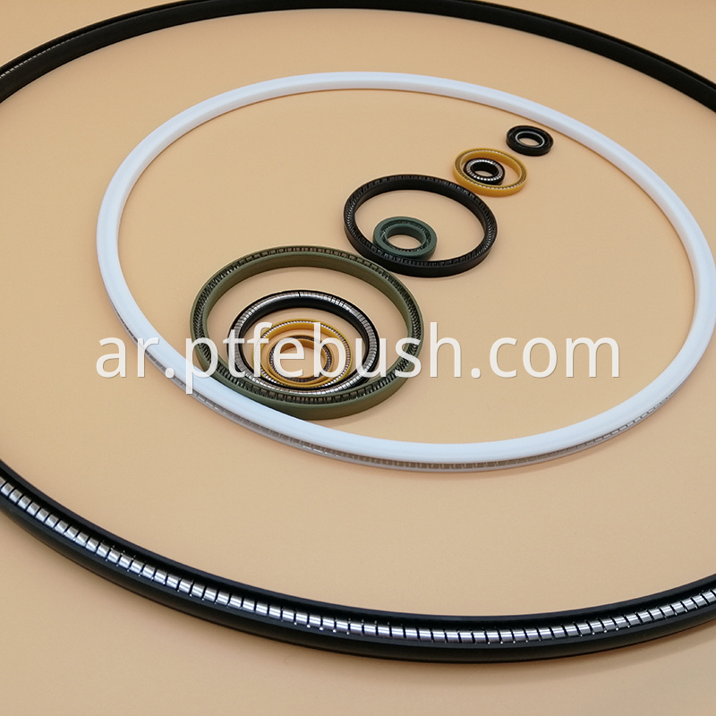 Spring Energized Seal 17